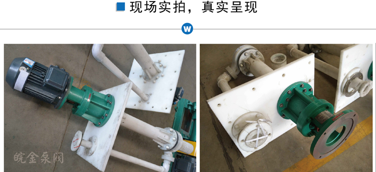 FYH氟塑料液下泵实景图 氟塑料液下泵
