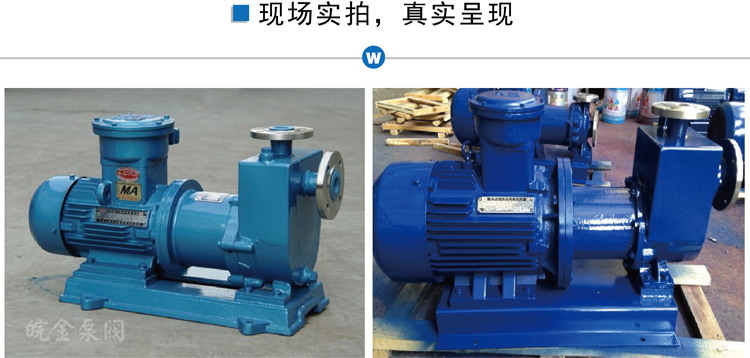 不锈钢磁力自吸泵