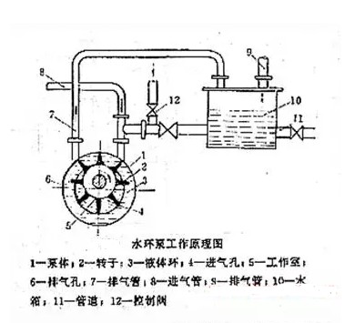 水环真空泵原理